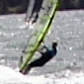 Step 12 instruction for Head Lay Back Jump